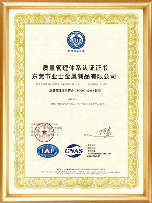 ISO9001质量管理体系认证证书-中文